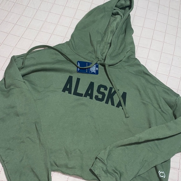 ALASKA CROP HOODIE - Picture 1 of 4